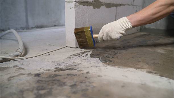24/7 Emergency Wet Basement Repair experts in Saint Louis, MI